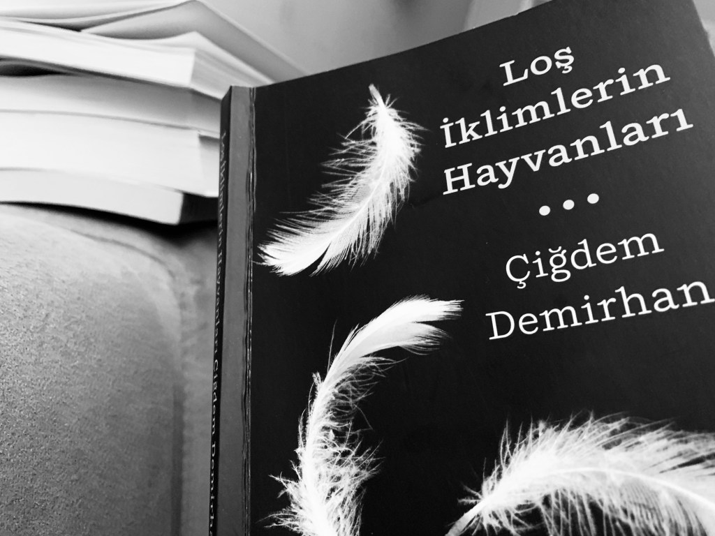 Ezberlenesi: Loş iklimlerin&nbsp;hayvanları*